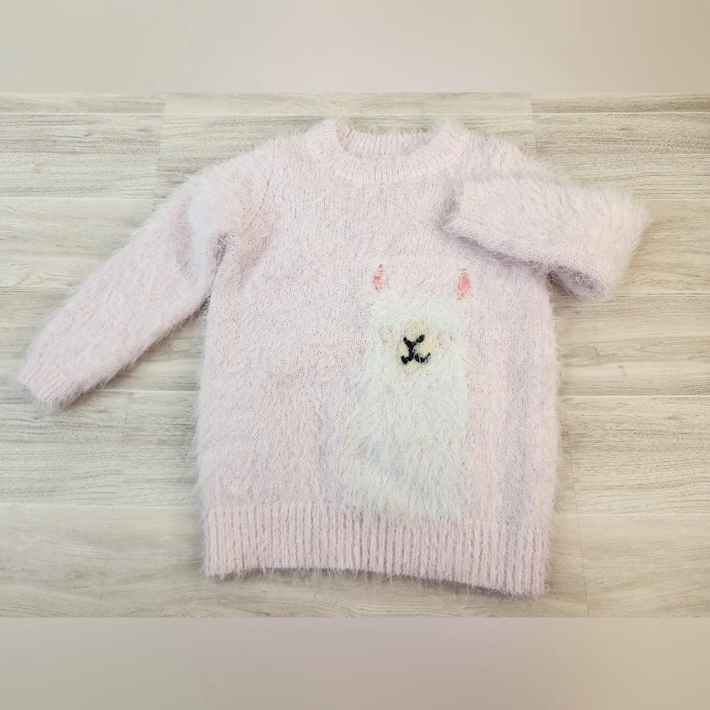 2T Cat & Jack Sweater